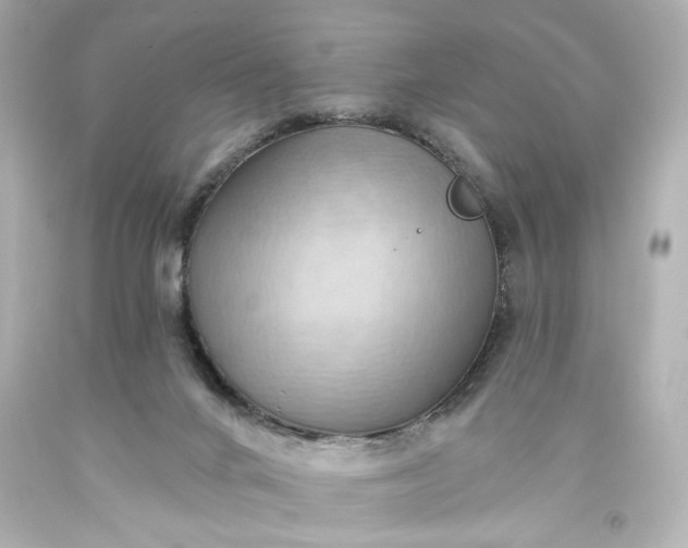 X0000093560024200710291028