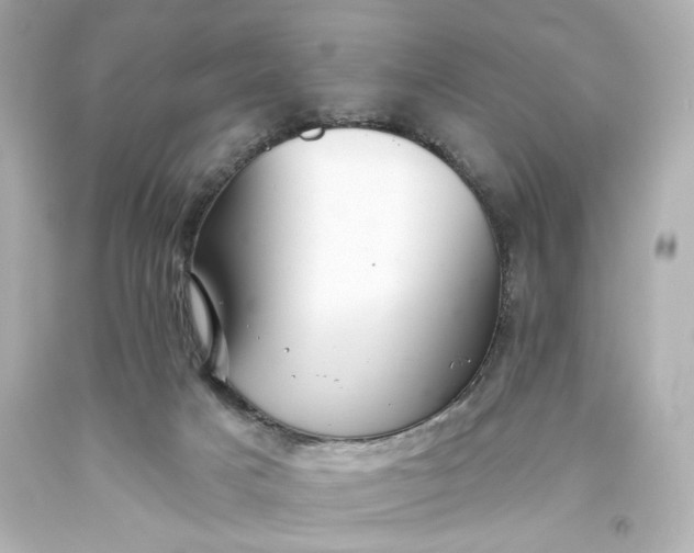 X0000093560025200710291028