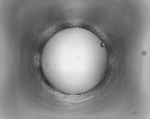 X0000093560026200710291028