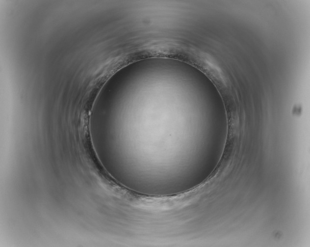 X0000093560029200710291028