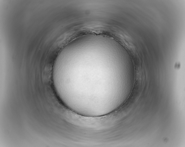 X0000093560030200710291028