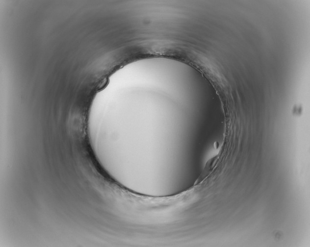 X0000093560031200710291028