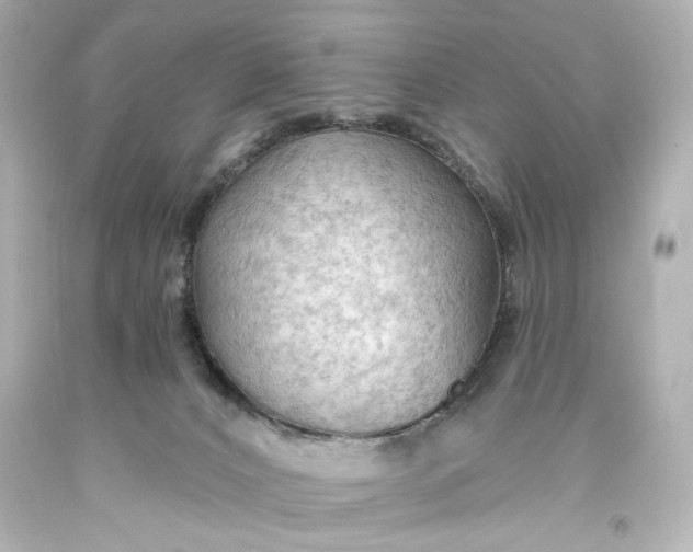 X0000093560032200710291028