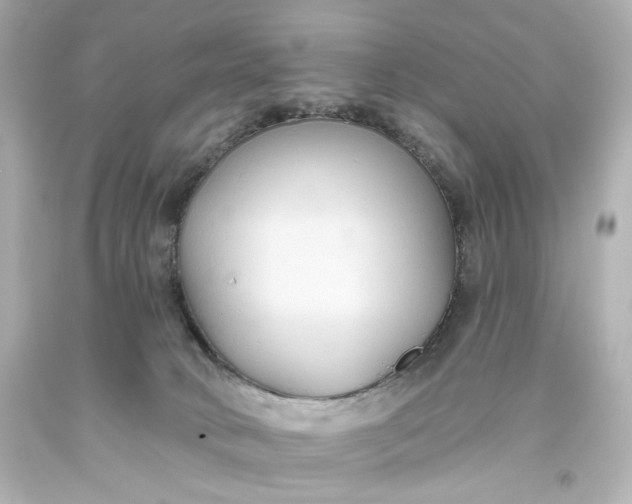 X0000093560034200710291028