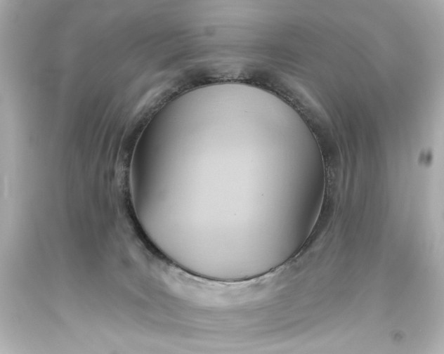 X0000093560035200710291028