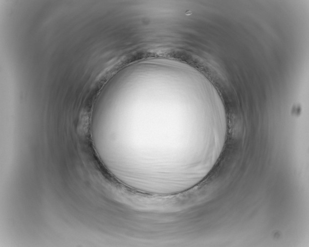 X0000093560036200710291028