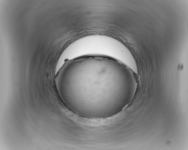 X0000093560037200710291028