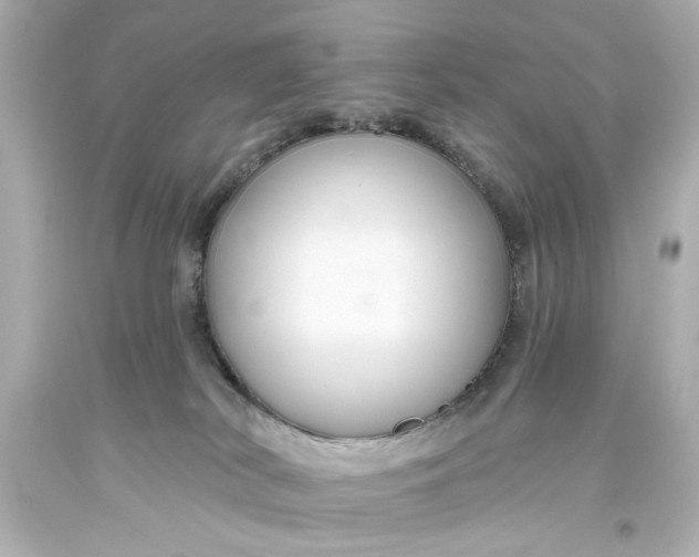 X0000093560038200710291028