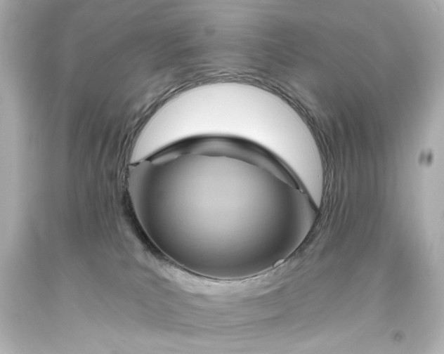 X0000093560039200710291028