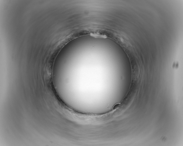 X0000093560040200710291028