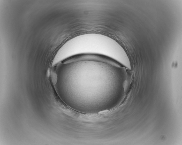 X0000093560041200710291028