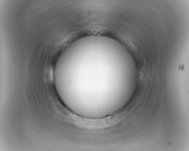 X0000093560042200710291028