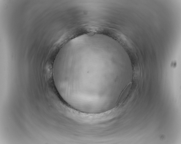 X0000093560043200710291028