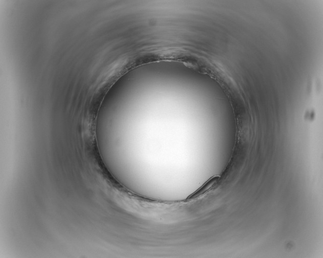 X0000093560044200710291028