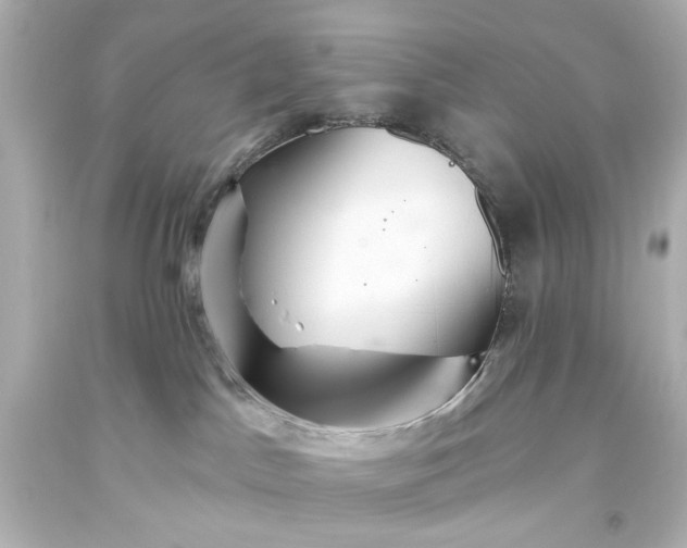 X0000093560045200710291028