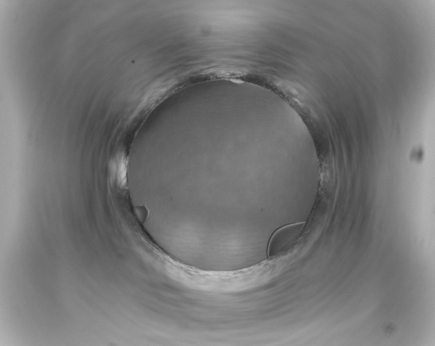 X0000093560046200710291028