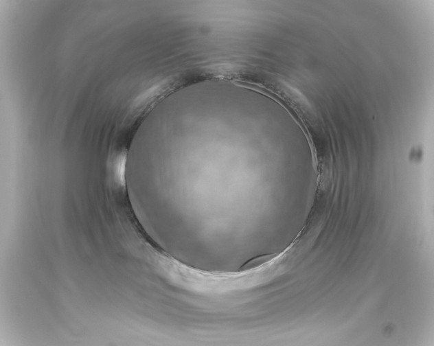 X0000093560047200710291028