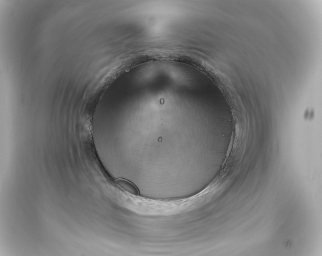 X0000093560048200710291028