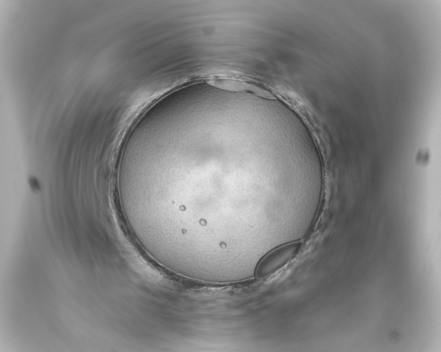 X0000093560049200710291027