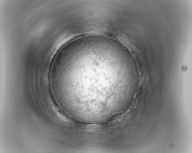 X0000093560050200710291027