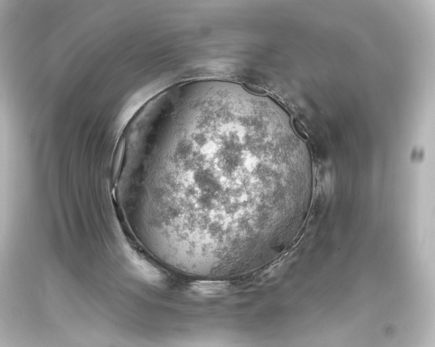 X0000093560051200710291027