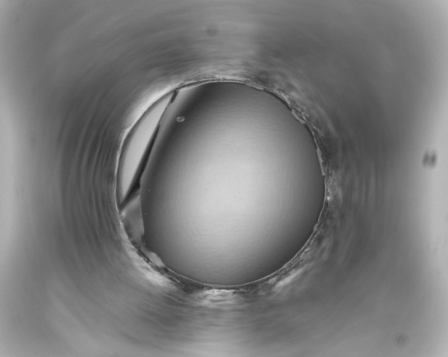 X0000093560052200710291027