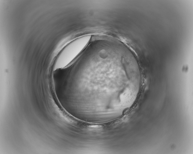 X0000093560053200710291027