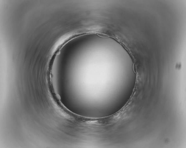 X0000093560054200710291027