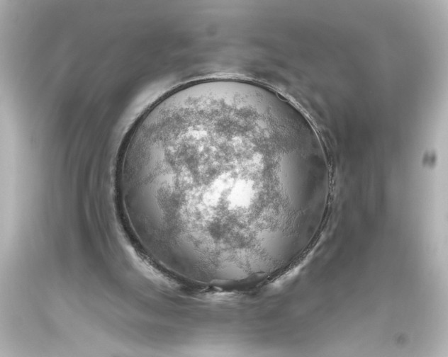 X0000093560055200710291027