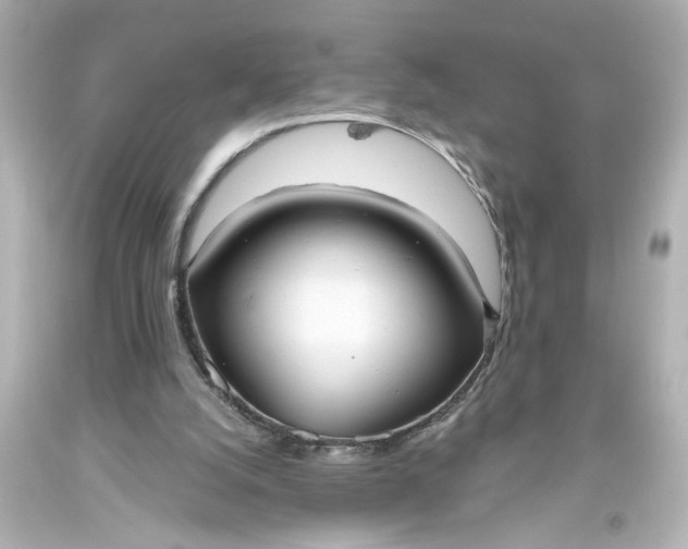 X0000093560056200710291027