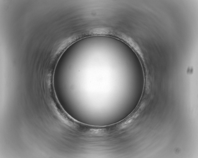 X0000093560057200710291027