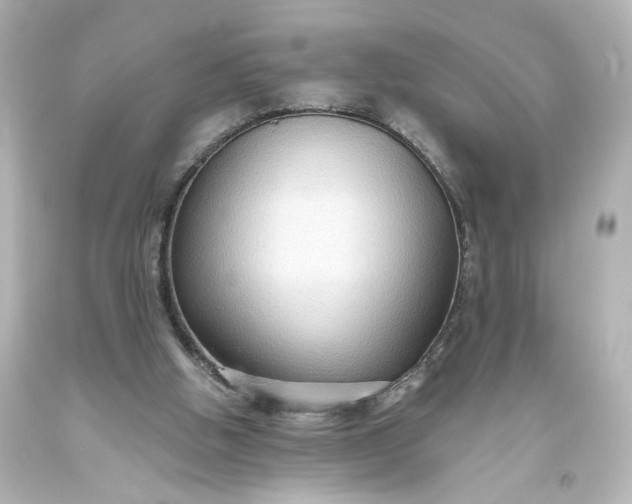 X0000093560058200710291027