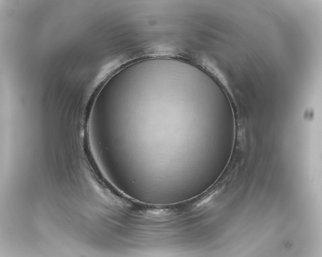 X0000093560059200710291027