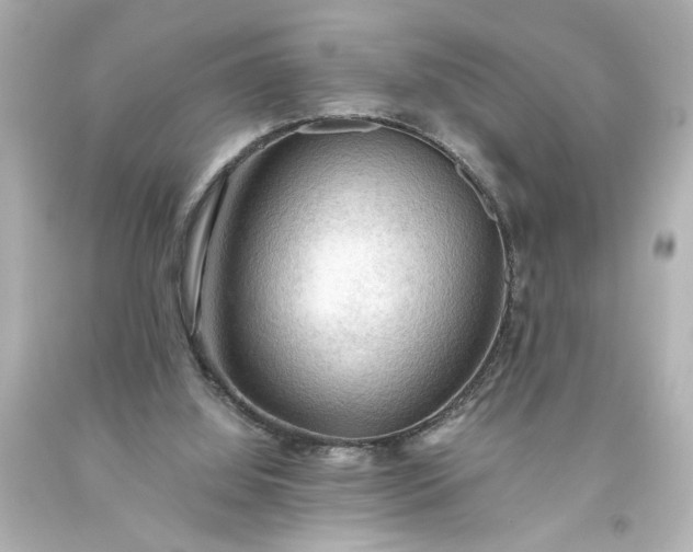 X0000093560060200710291027