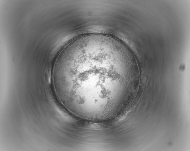 X0000093560062200710291027