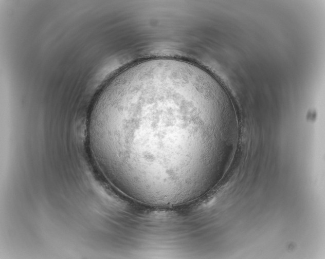 X0000093560063200710291028