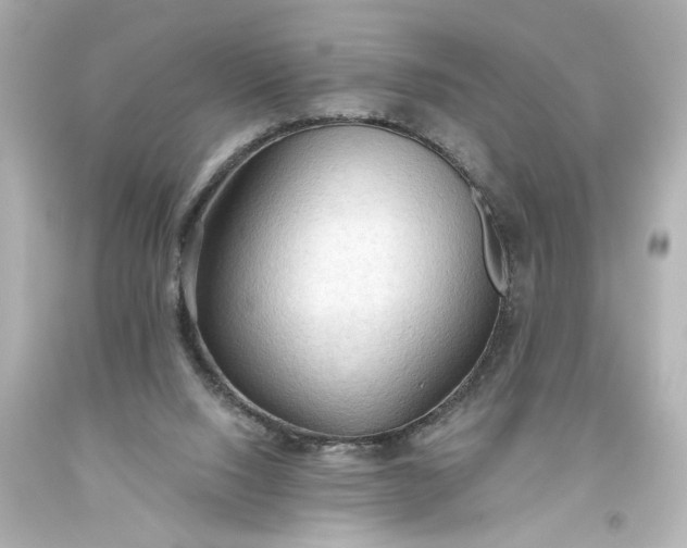 X0000093560064200710291028