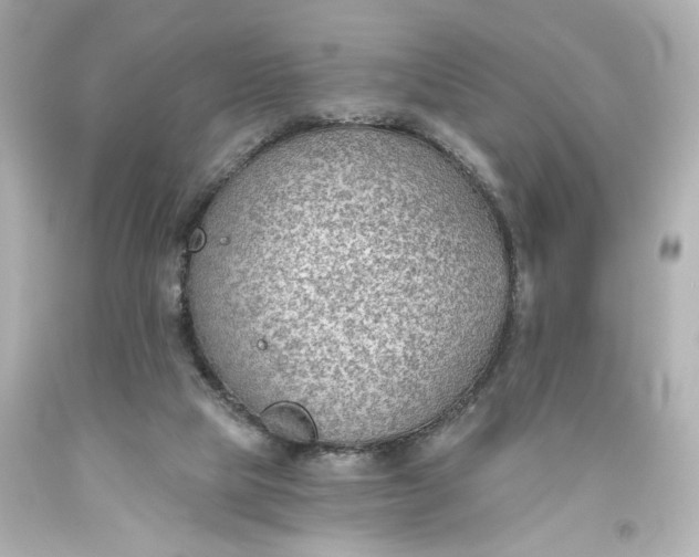 X0000093560065200710291028