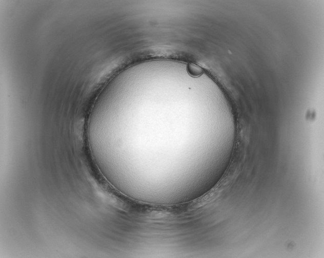 X0000093560066200710291028