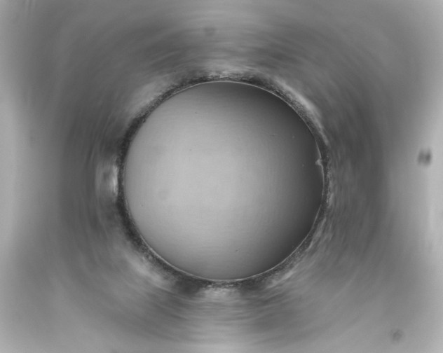 X0000093560067200710291028