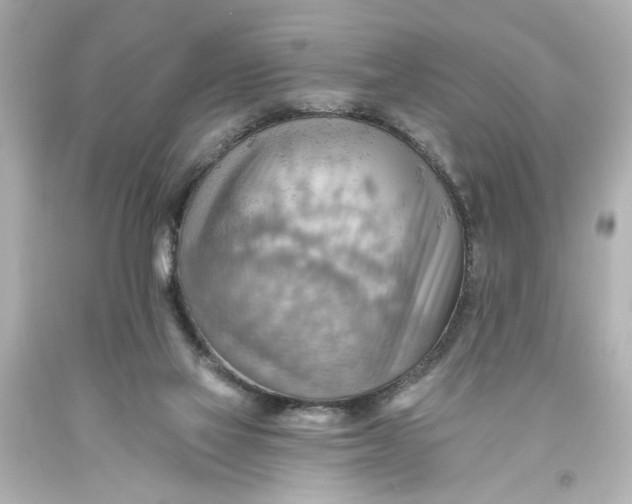 X0000093560069200710291028