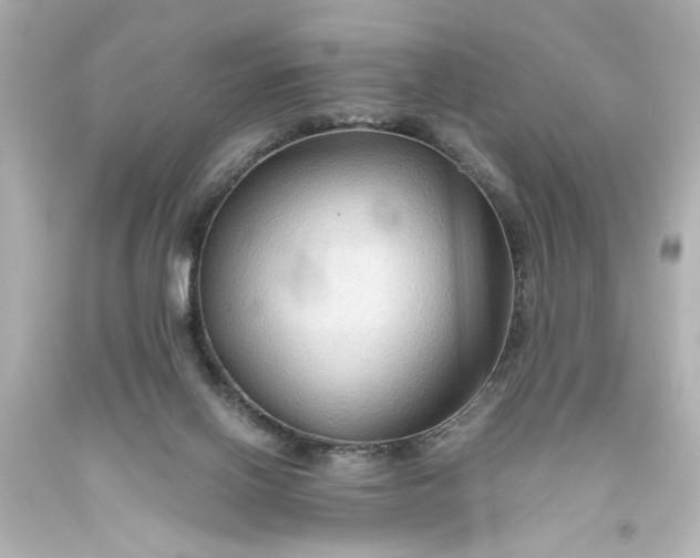 X0000093560070200710291028