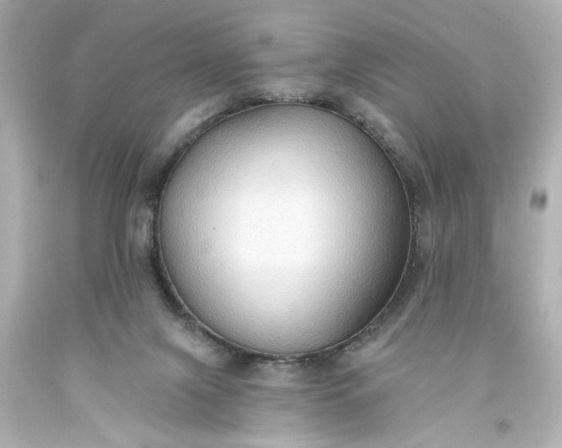 X0000093560071200710291028