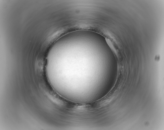 X0000093560072200710291028