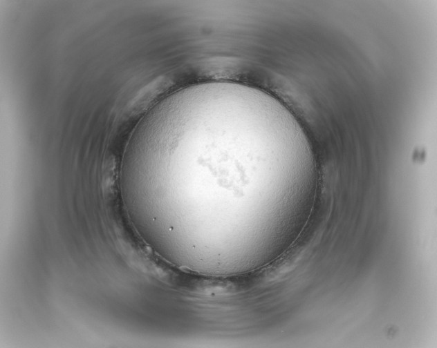 X0000093560073200710291028