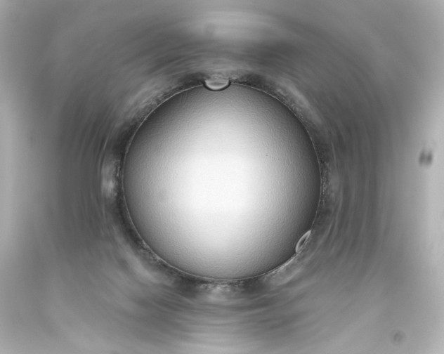 X0000093560074200710291028