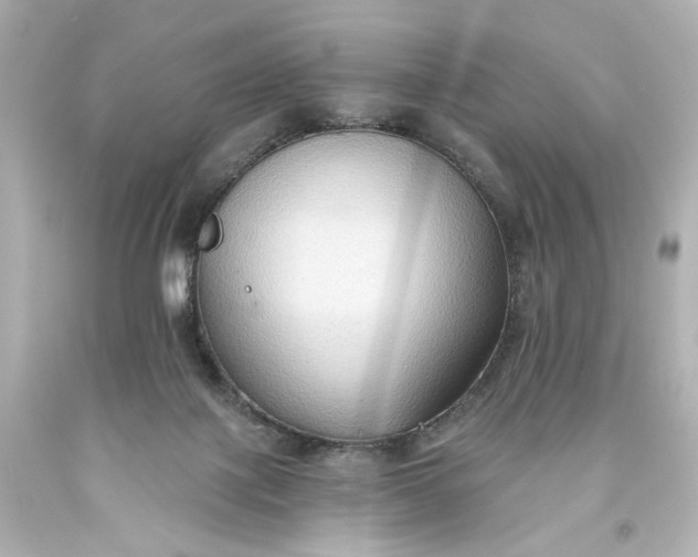 X0000093560075200710291028