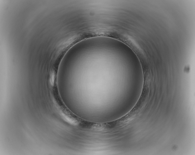 X0000093560076200710291028