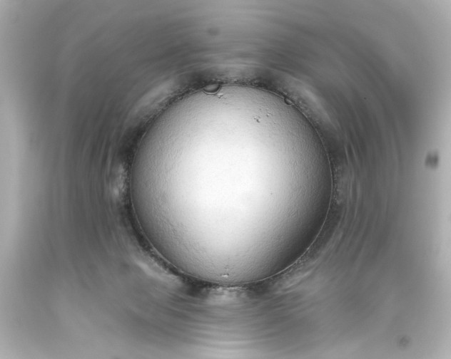 X0000093560077200710291028