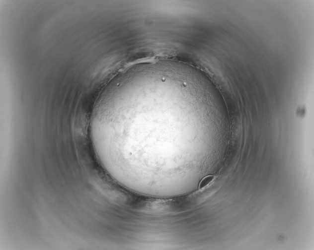 X0000093560078200710291028